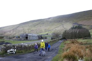 barley pendle hill 6.jpg